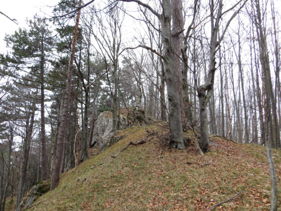 Meyringer Warte Hocheck